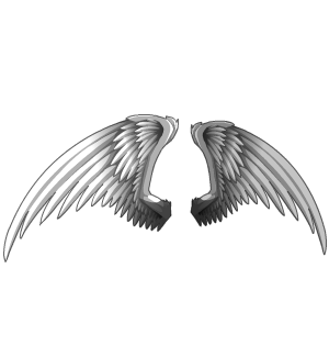 Big Angel Wings CC