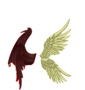 <FONT color='#FF00FF'>Kuroshi Wings</FONT>