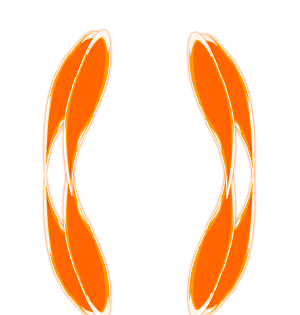 <font color="#FF9900">Naruto Baryon Ground</font>