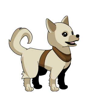 Hachiko Pet