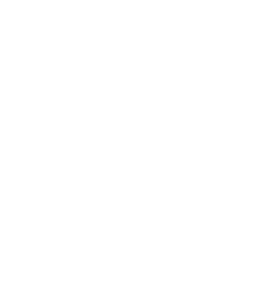 Ceslestial Aerura Crown