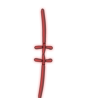RQ Birthday Balloon Long Sword