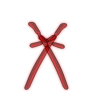 RQ Birthday Balloon Backswords