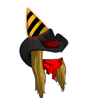 Birthday Cowboy Hat Long Hair