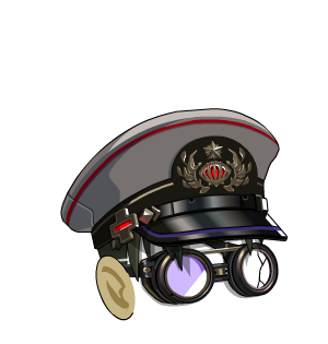 Experimental Naval Cap