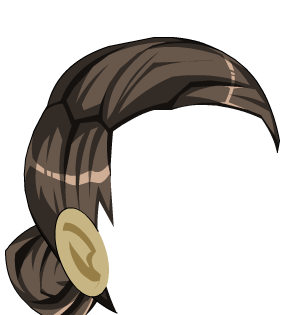 ShadowSlayer Corsair Bun