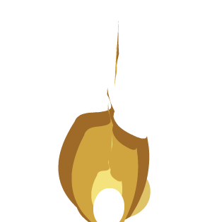 Golden Eternal Flame