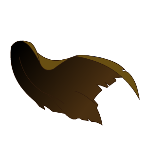 RC Cape