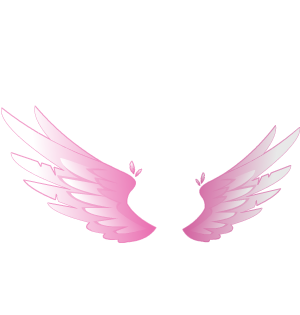 Cupid Love Wings