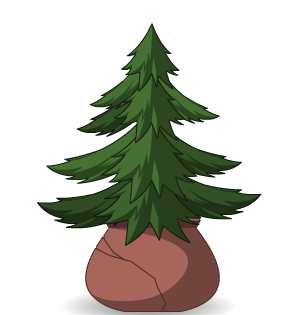 Potted Pine