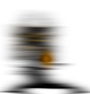 Hollowborn Lich Guardian Cape