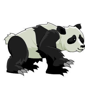 Royal Panda