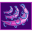 Moon Tempest