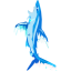 Hungry Shark