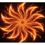 Ninefold Wrath